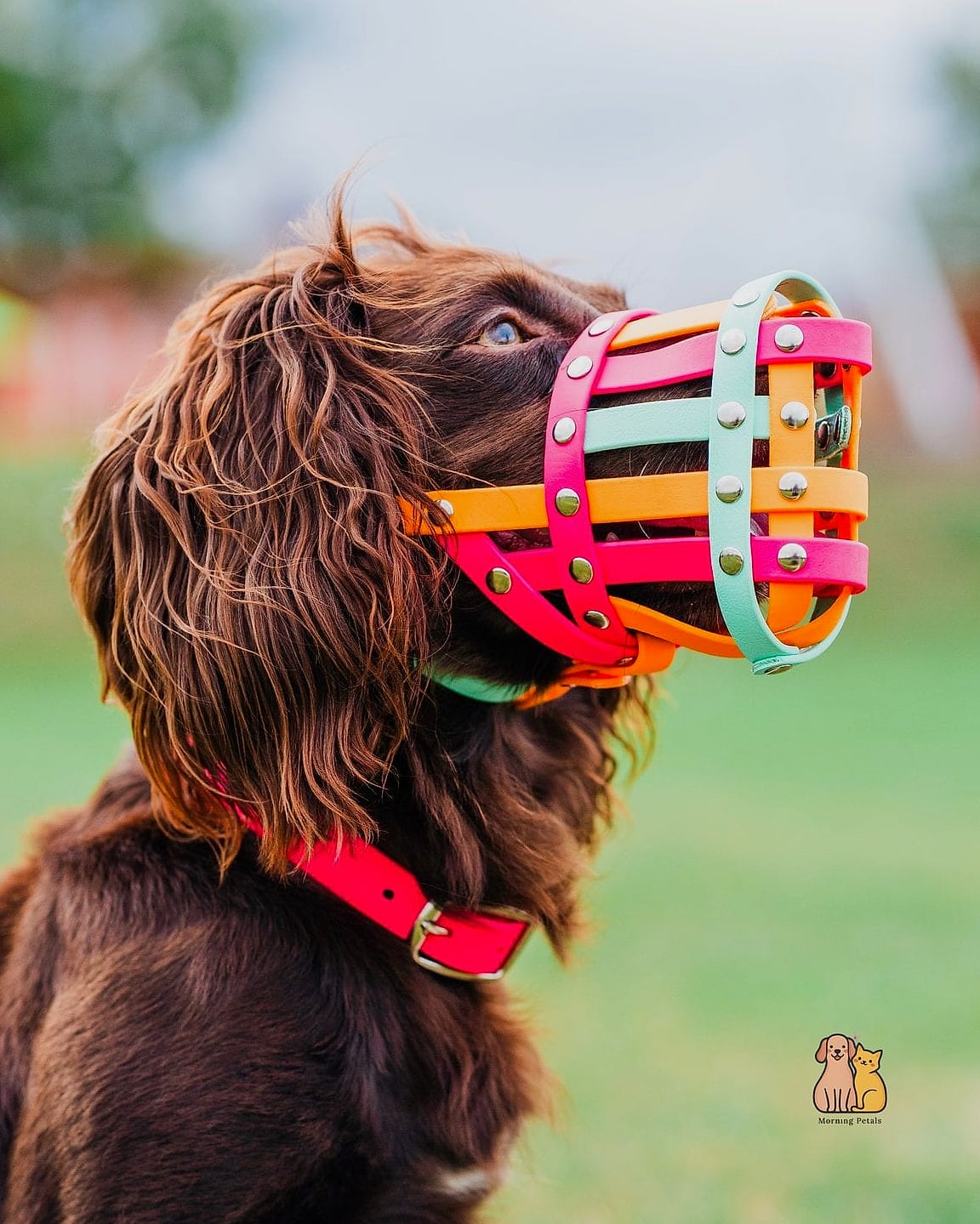 The Padded Comfort Muzzle