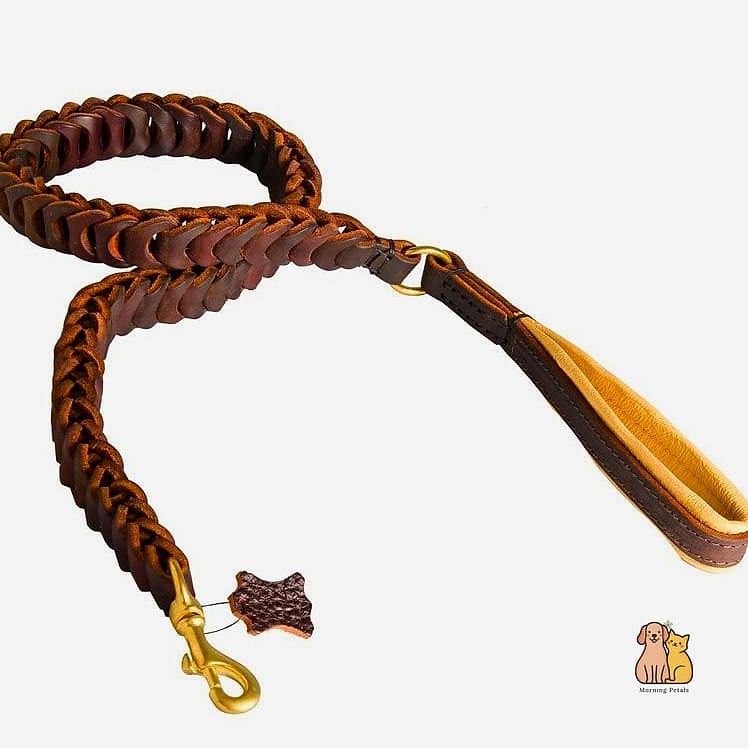 The Padded Leather Leash for Everyday Walks