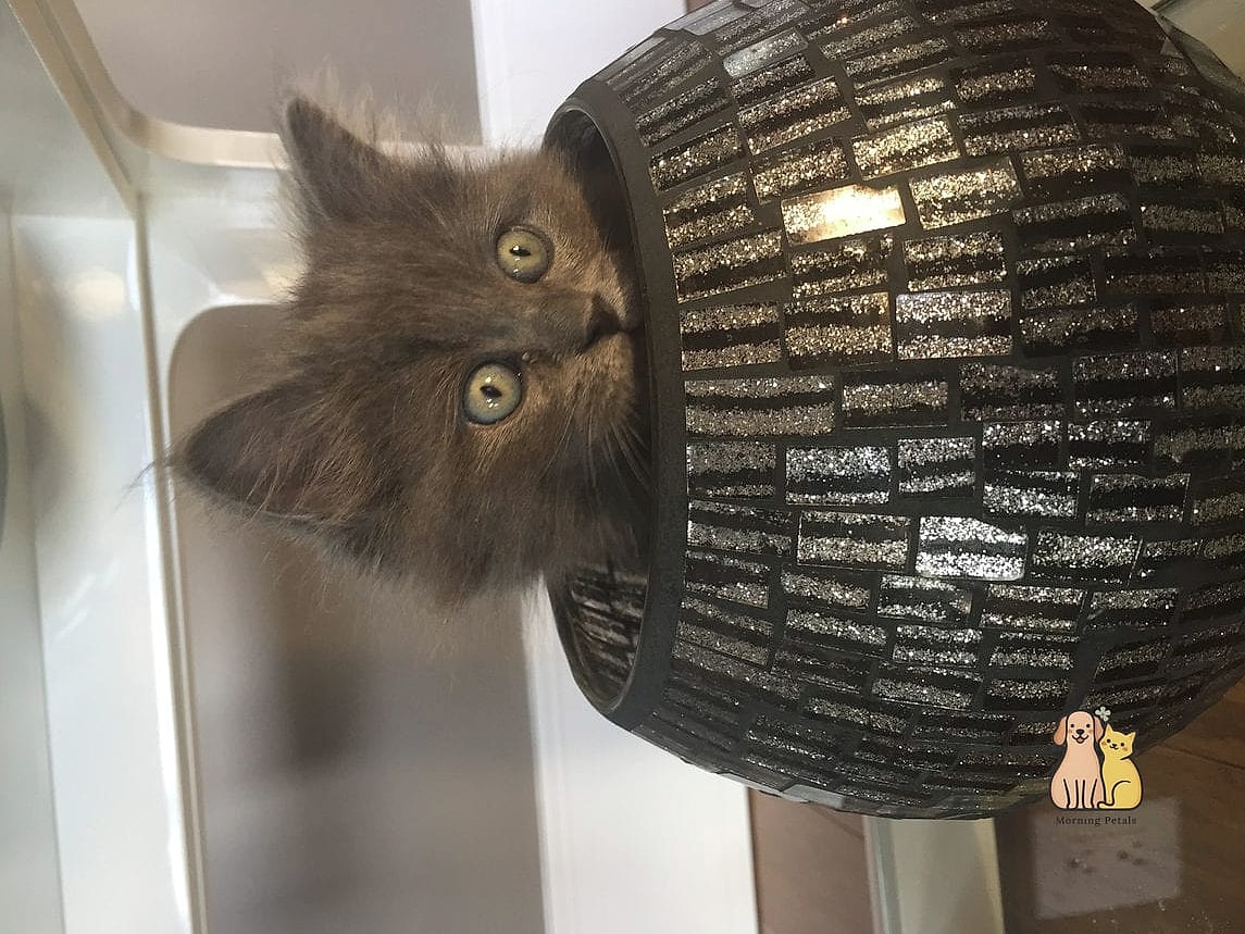 45 Budget-friendly Cat Eating Station Ideas Worth Pinning Immediately 19 The Painted Cinder Block Riser