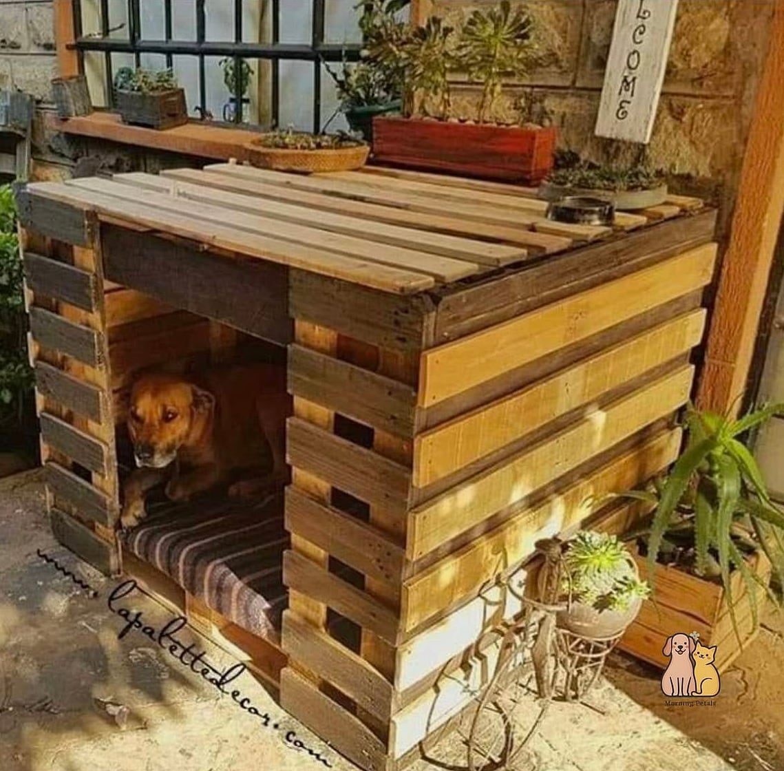 The Pallet A-Frame with a Hammock Floor