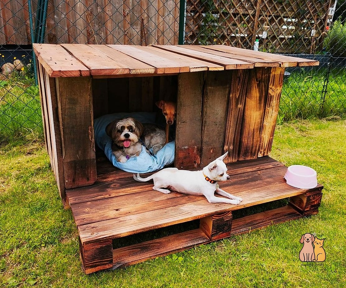 The Pallet House with a Built-In Feeding Nook