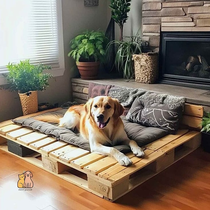 The Pallet Wood Dog Bathing Area