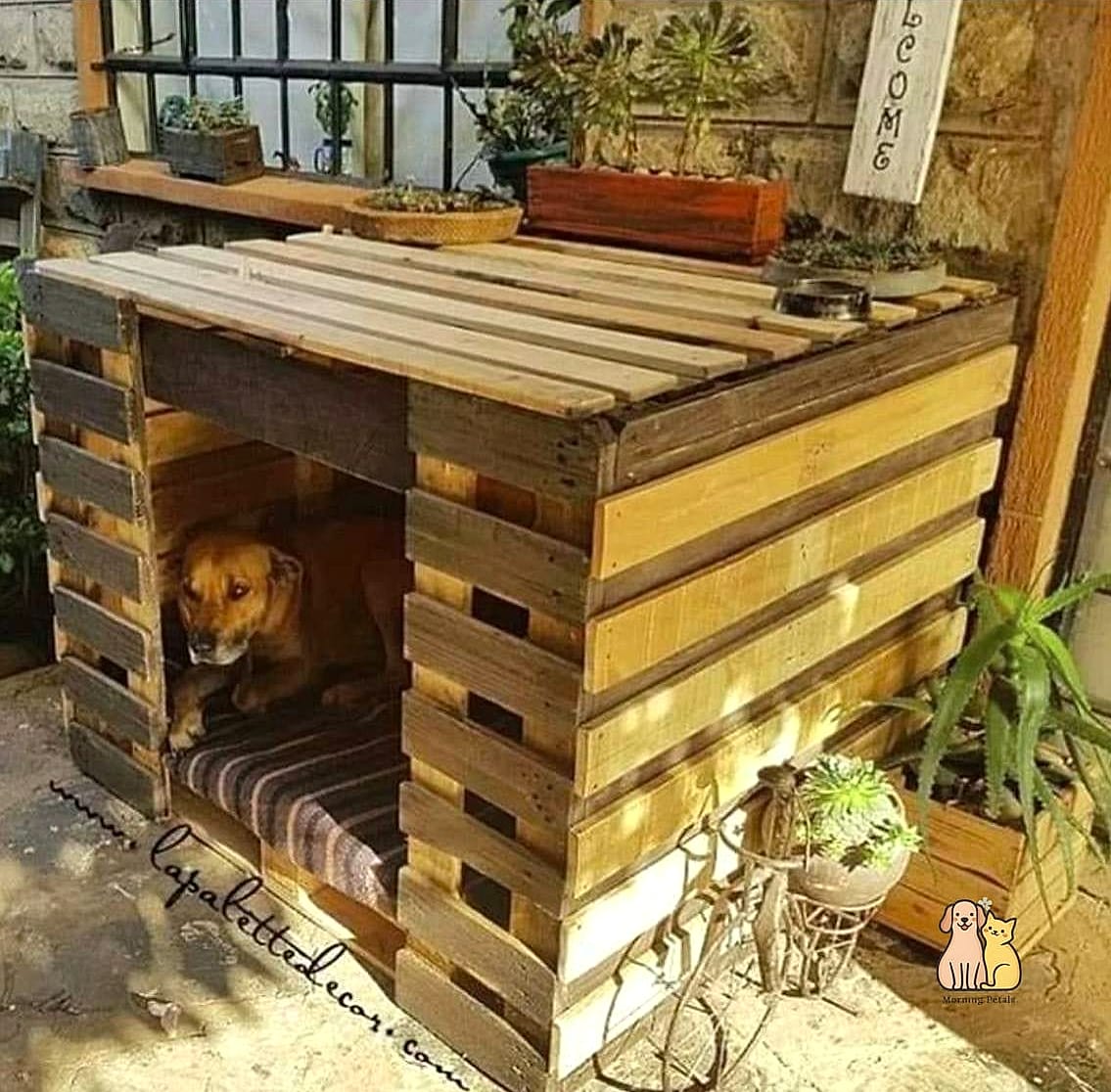 22 Genius Outdoor Dog Shelter Ideas That Are Totally Worth It 8 The Pallet Wood Dog Shelter