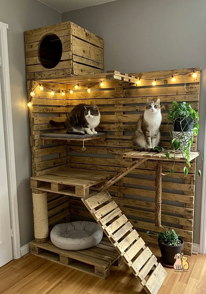 The Pallet Wood Cat Sofa