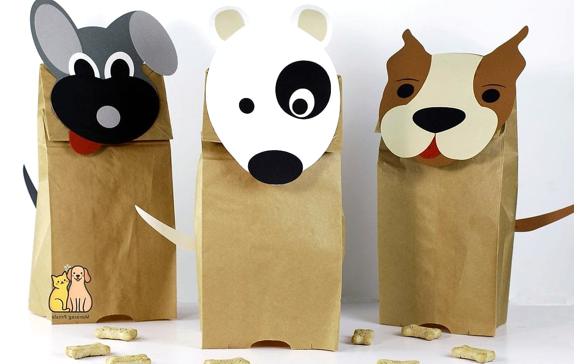 Paper Bag Enrichment Toys