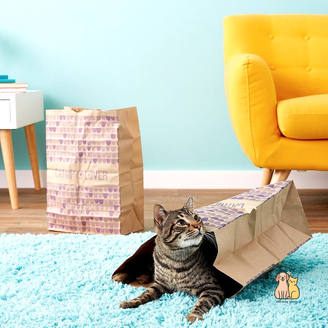The Paper Bag Cave (Reinforced)