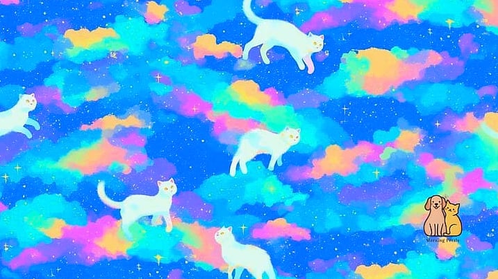 The Pastel Painted Cloud Shelf
