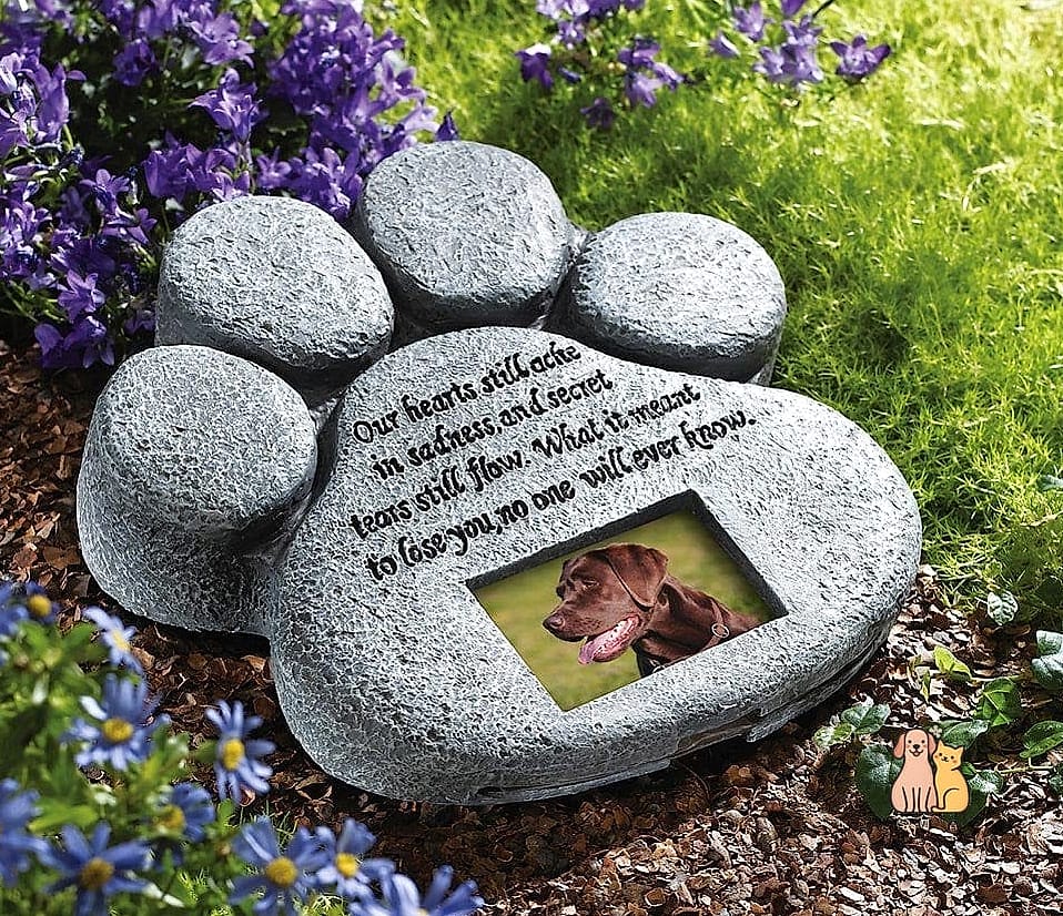 The Paw Print Stepping Stone