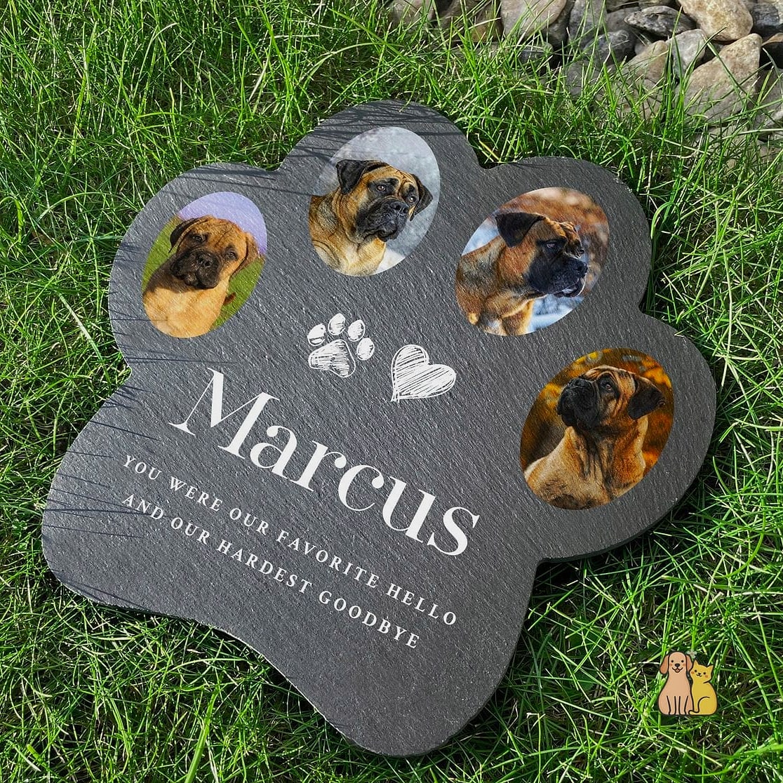 23 Precious Dog Yard Landscaping That Will Restore Your Faith in the World 22 A Paw-Print Stepping Stone Trail