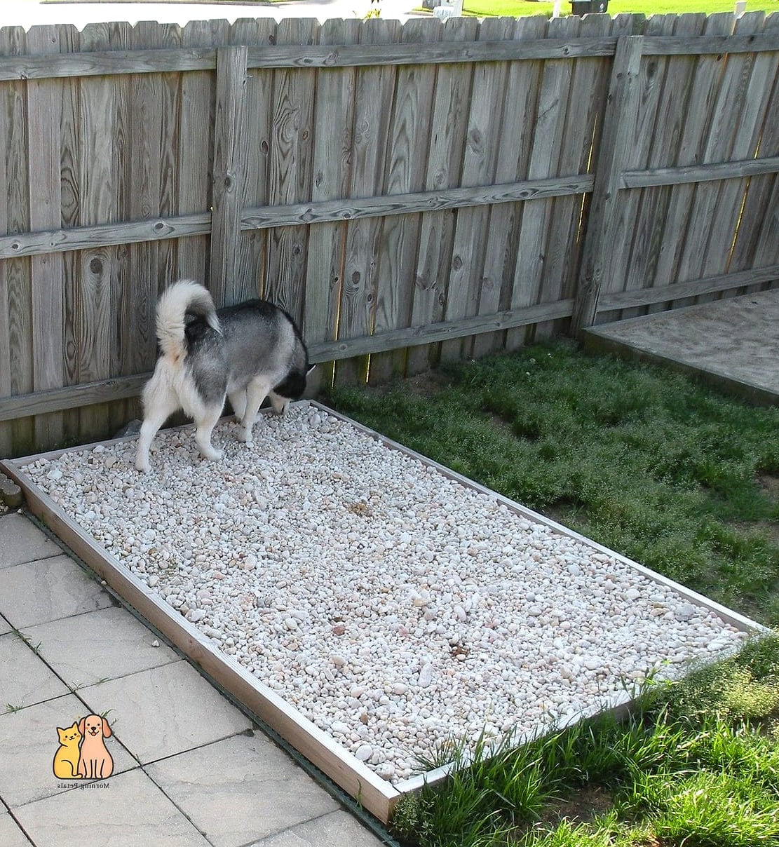 30 Perfect Outdoor Dog Potty Area on a Budget 3 Pea Gravel Potty Patch