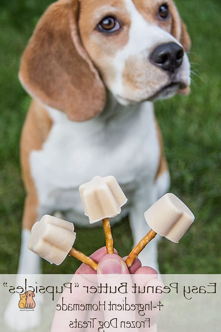 25 Clever Frozen Dog Treats Your Pet Will Beg For More 2 Peanut Butter Banana Frozen Pupsicles