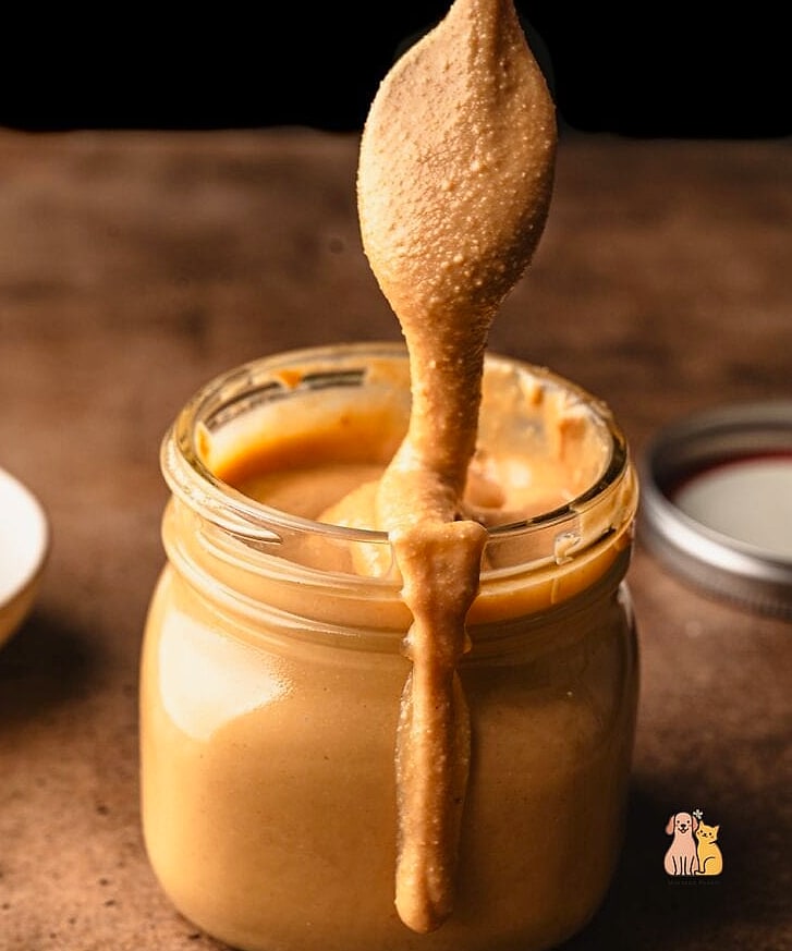 19 Budget-friendly Homemade Dog Meals That Are Totally Worth It 21 Peanut Butter and Banana Frozen Treats