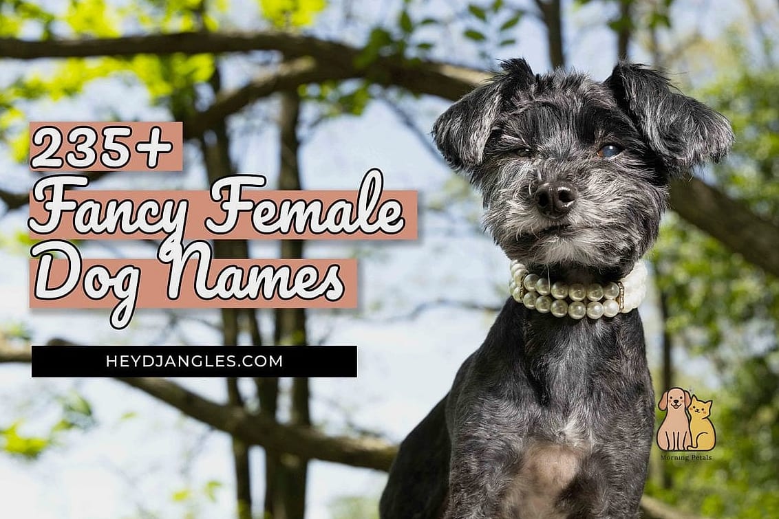 20 Female Dog Names That Are Totally Unique and Adorable 17 Pearl