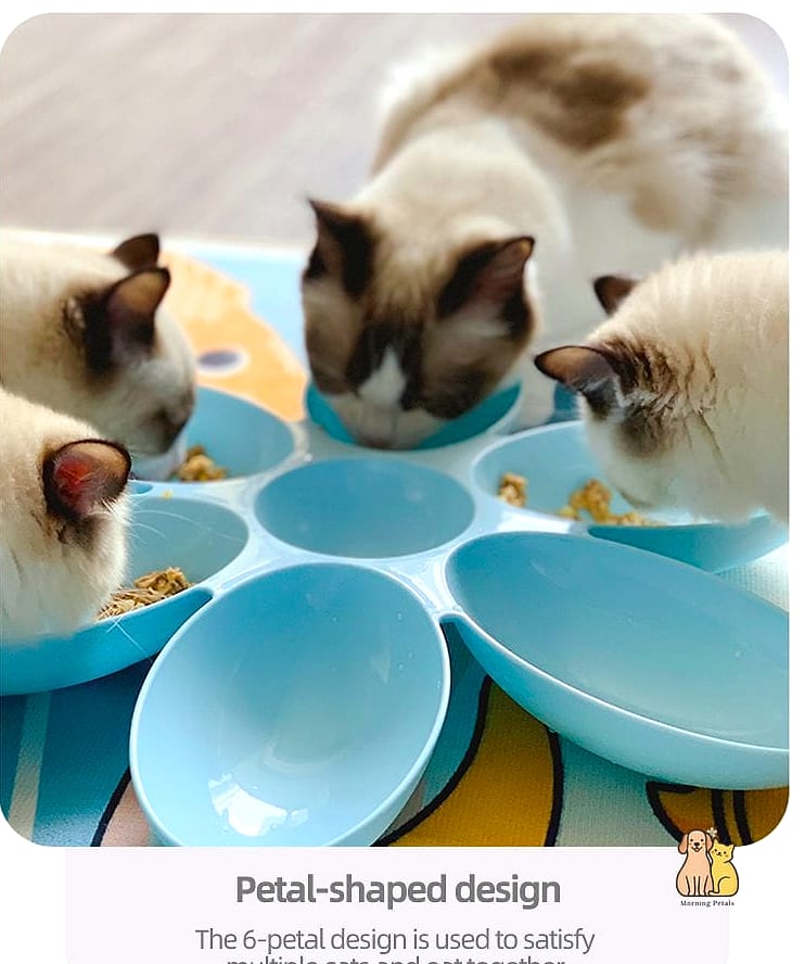 45 Budget-friendly Cat Eating Station Ideas Worth Pinning Immediately 27 The Pegboard Bowl Wall