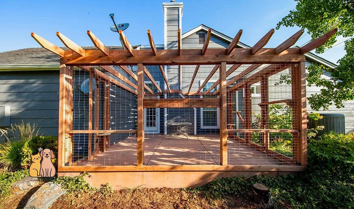 The Pergola-Style Catio