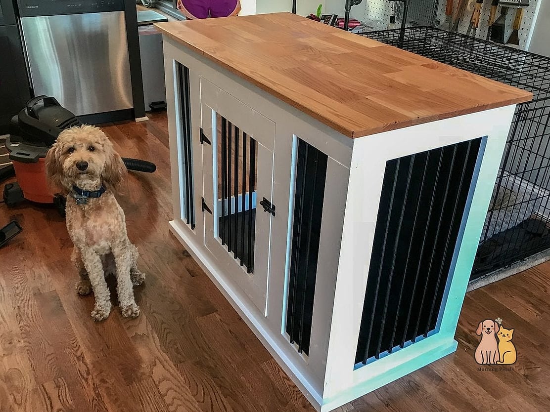 Personalize With a Custom Pet Portrait