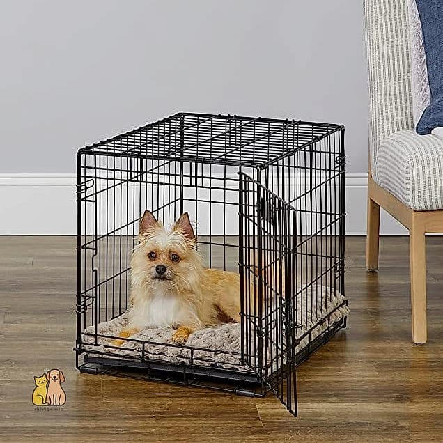 The Pet Crate Makeover
