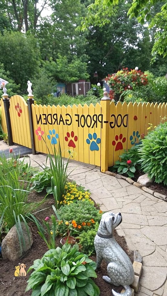 Pet-Safe Ground Cover Instead of Grass