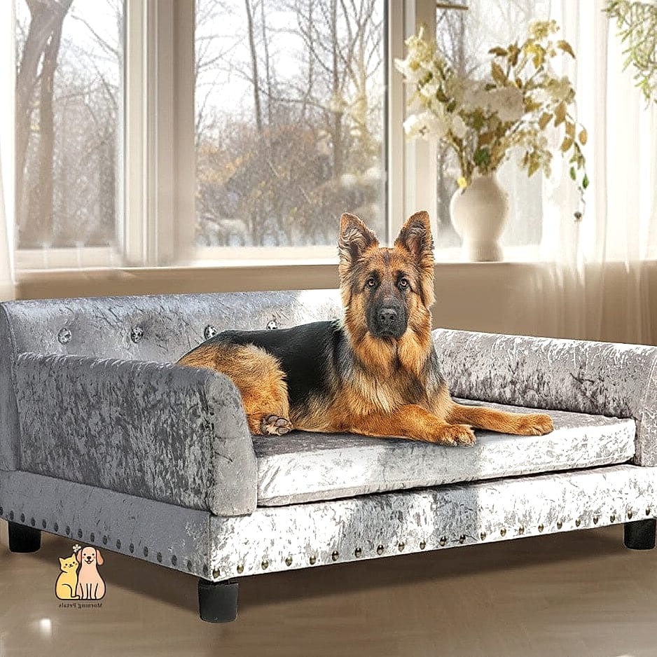 20 Stunning Aesthetic Dog Bed Guaranteed to Make You Smile 14 The Pet Sofa-Style Dog Bed