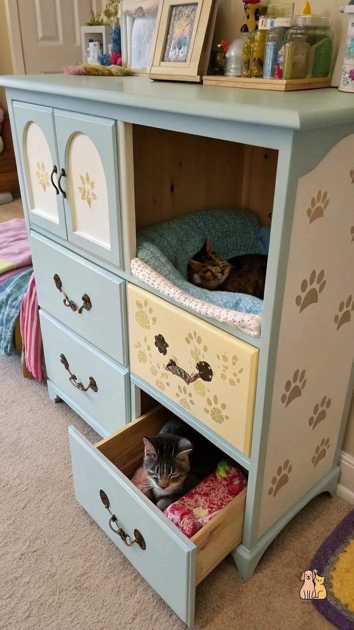 The Pet Store Splurge Dresser