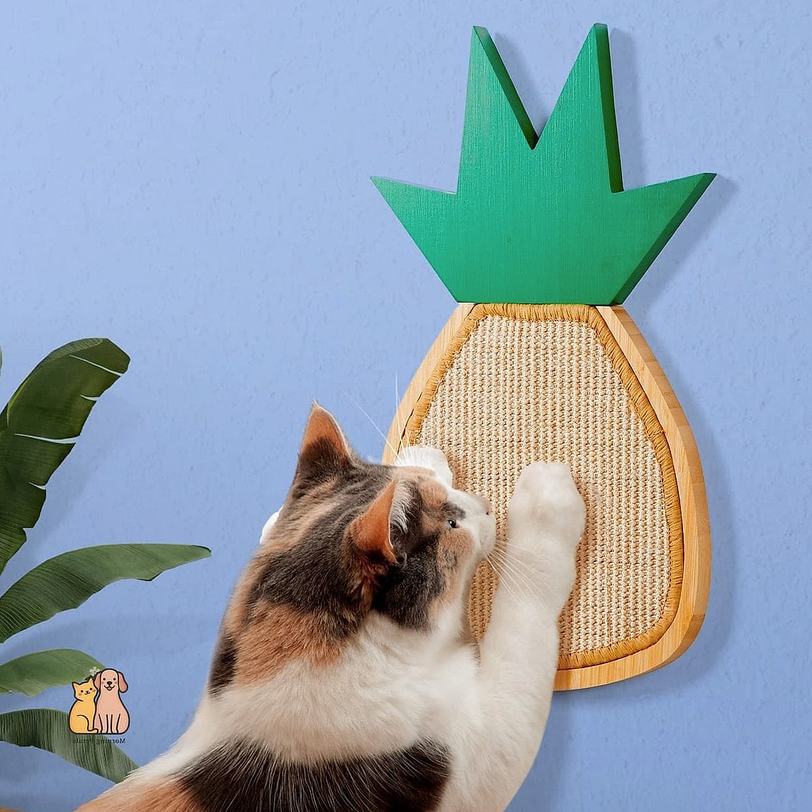The Pineapple Tower Scratcher