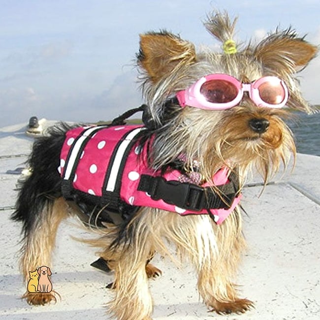 The Pink Ruffle-Trim Life Vest