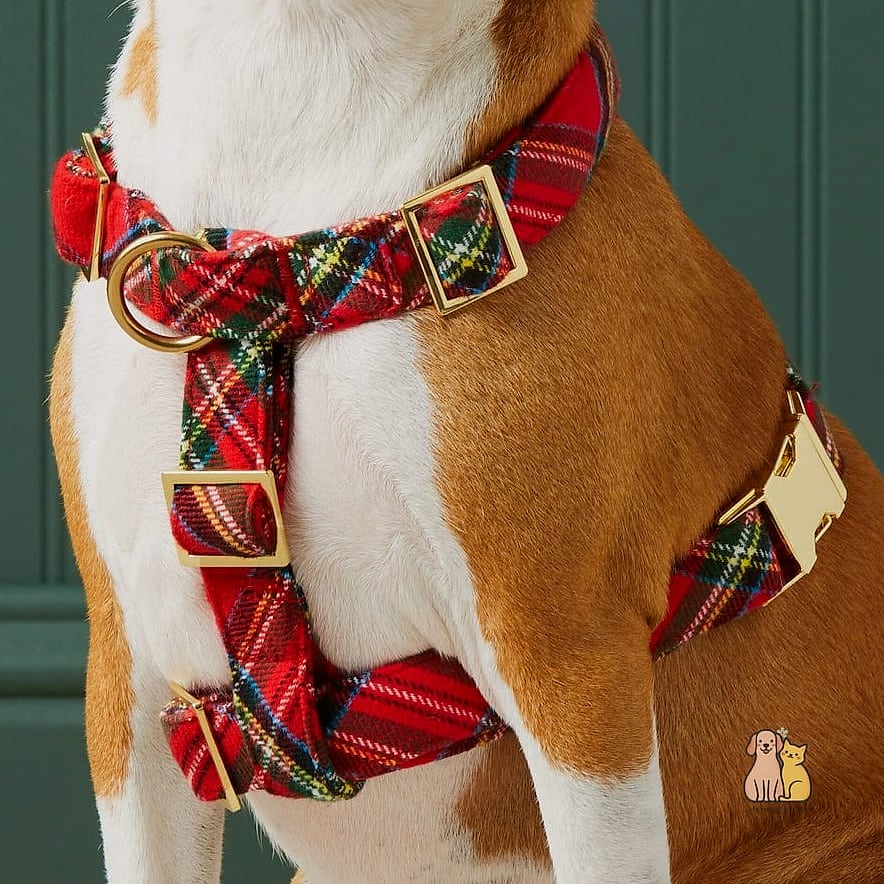 The Plaid Flannel Cozy Harness