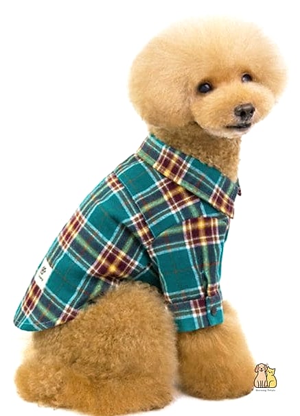 15 Gorgeous Small Dog Sweaters That Will Restore Your Faith in the World 10 The Plaid Flannel-Style Sweater