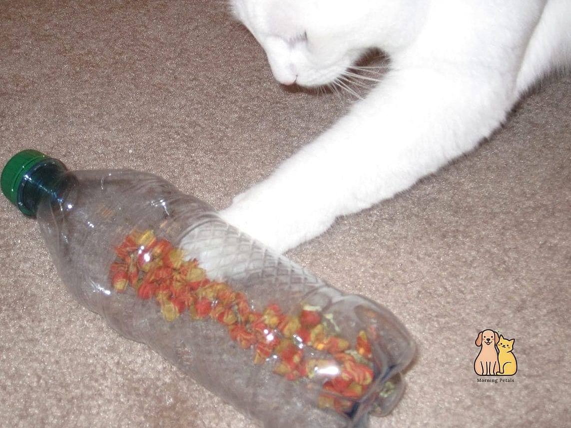 Plastic Bottle Roller