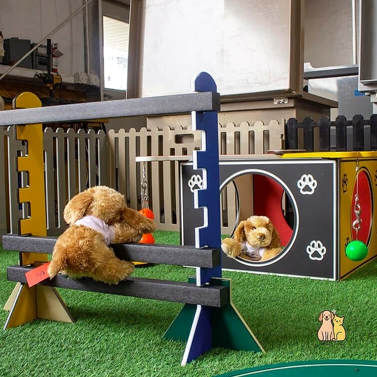The Playground-Style Enclosure With Agility Equipment