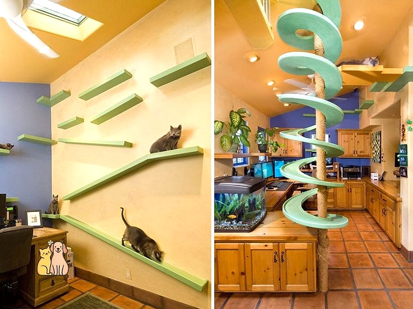 30 Creative Diy Catwalks For Cats That Will Inspire You 29 The Playroom Obstacle Catwalk