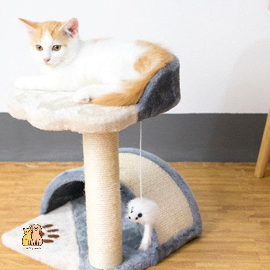 35 Precious Cool Cat Trees That Prove Pets Are the Best 32 The Play Tunnel Cat Tree Combo