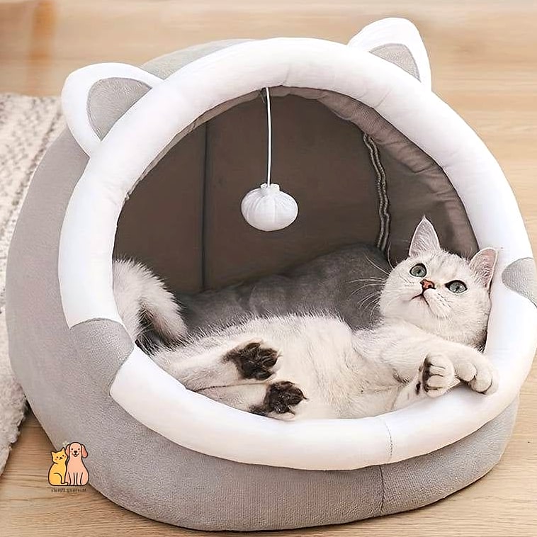 The Plush Pillow Bed