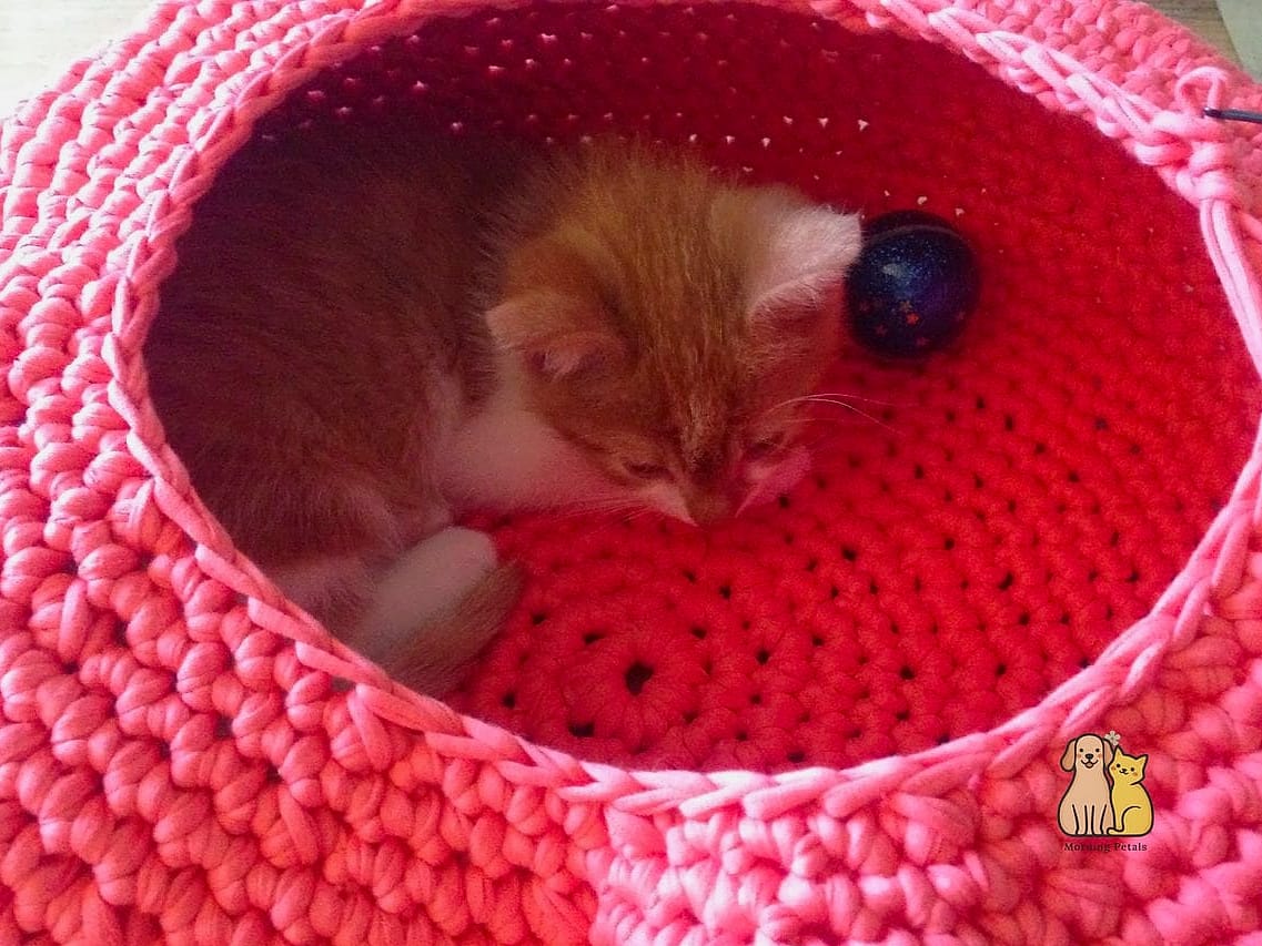 Pom-Pom Trimmed Nest