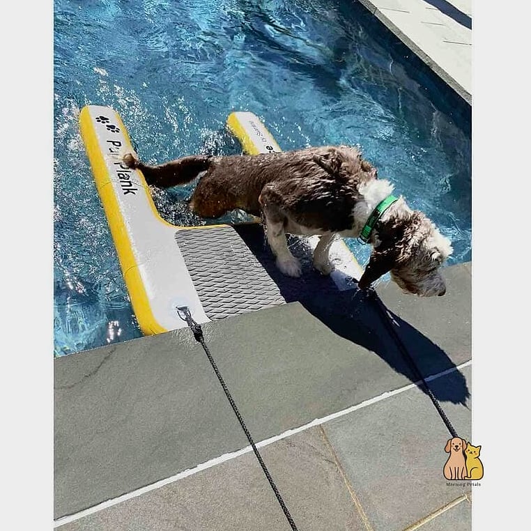 The Pool Ramp