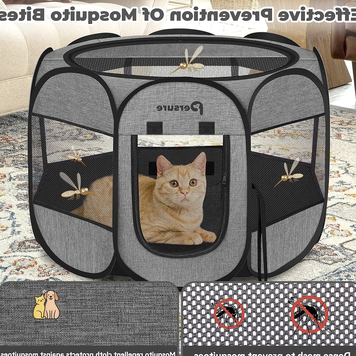 The Portable Pop-Up Exercise Pen