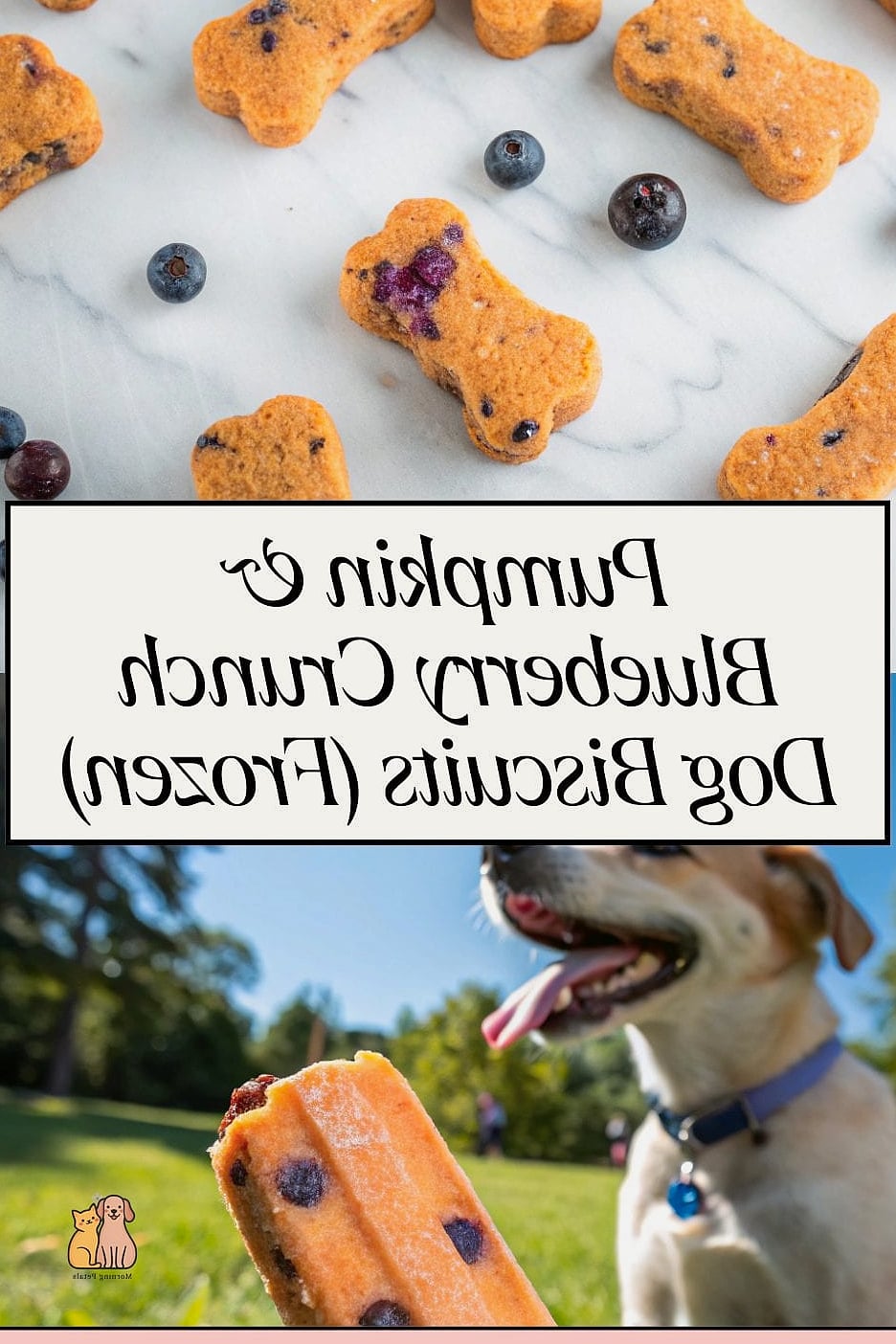 21 Creative Pumpkin Dog Treats Your Pet Will Beg For More 13 Pumpkin Blueberry Frozen Bones