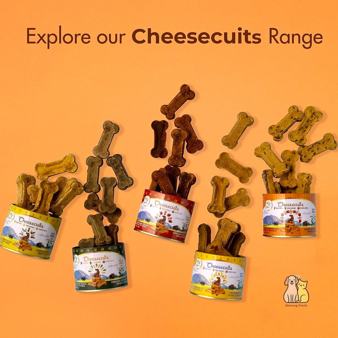 21 Creative Pumpkin Dog Treats Your Pet Will Beg For More 15 Pumpkin Cheese Training Snacks