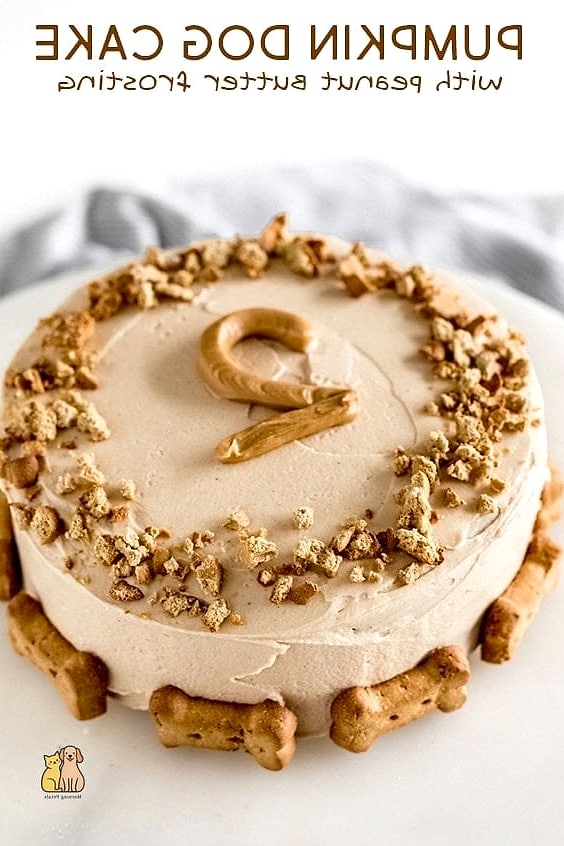 Pumpkin Dog Birthday Cake