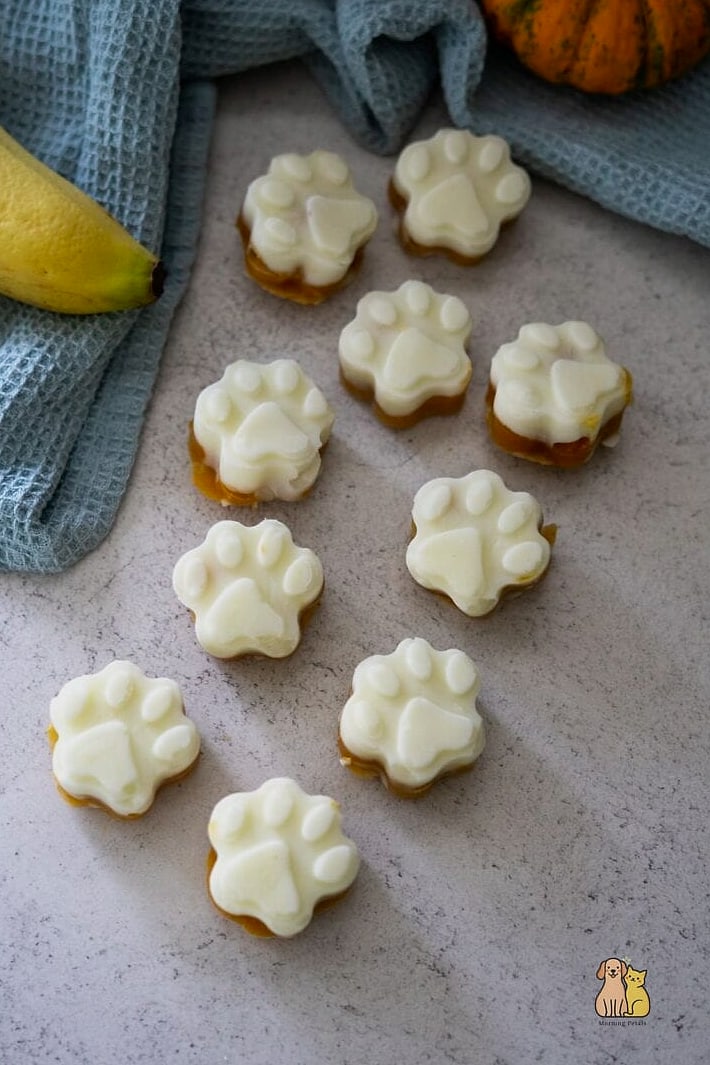 25 Clever Frozen Dog Treats Your Pet Will Beg For More 6 Pumpkin Frozen Treats