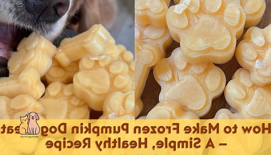 Pumpkin Frozen Cubes