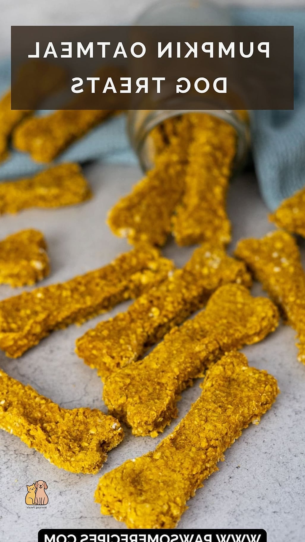 21 Creative Pumpkin Dog Treats Your Pet Will Beg For More 8 Pumpkin Oatmeal Bites