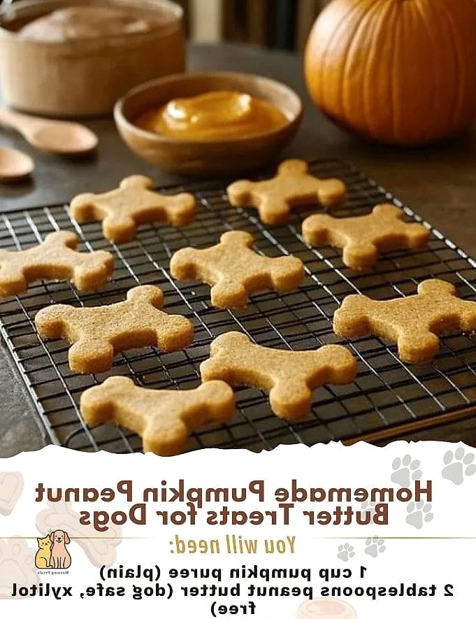 21 Creative Pumpkin Dog Treats Your Pet Will Beg For More 21 Pumpkin Peanut Butter Frozen Pops