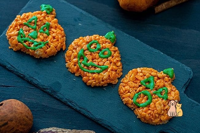 21 Creative Pumpkin Dog Treats Your Pet Will Beg For More 19 Pumpkin Rice Crisps