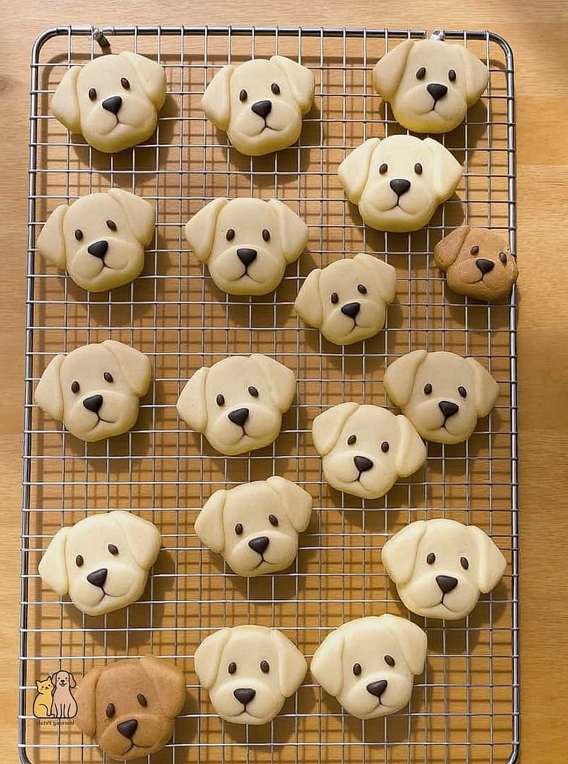 25 Amazing Dog Themed Cookies That Prove Pets Are the Best 4 Puppy Face Cookies