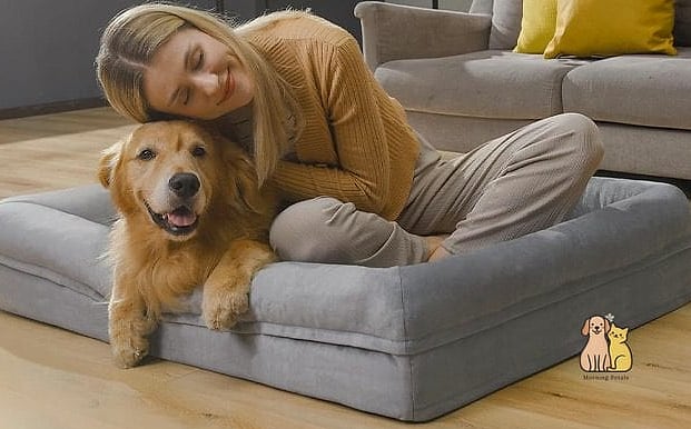 15 Gorgeous Orthopedic Dog Beds That Will Restore Your Faith in the World 11 The Puppy-Friendly Orthopedic Training Bed