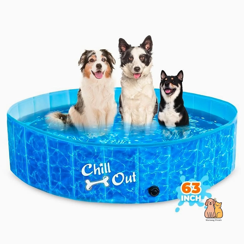 The Puppy Pool With Extra-Shallow Sides