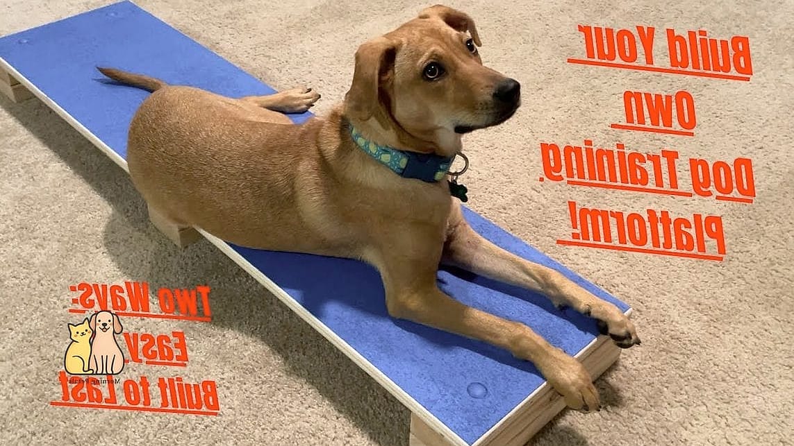 The Puppy Training Station Topper