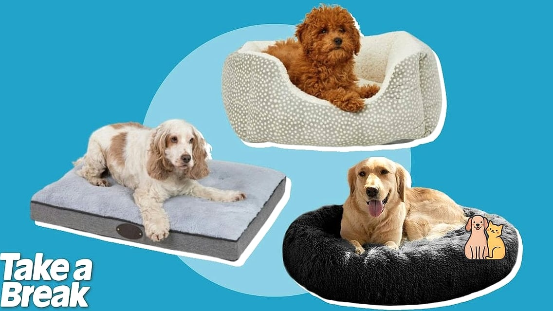 15. Puppy Training Pad Bed