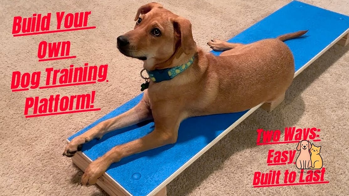 20 Brilliant Diy Dog Crates That Are Totally Worth It 7 The Puppy Training Crate Station